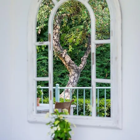 Bed & Breakfast Casa Luna Verde